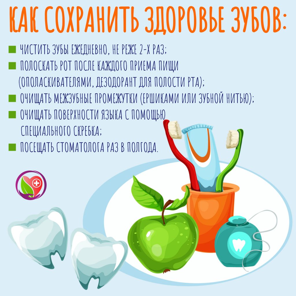 zdorov zub 1024x1024